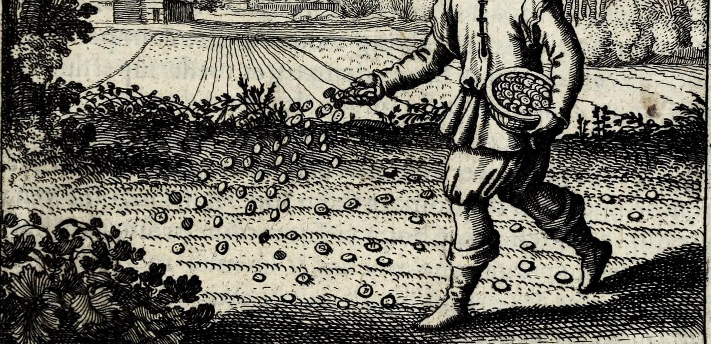 The Heavens in Seminate aurum vestrum in terram albam foliatam