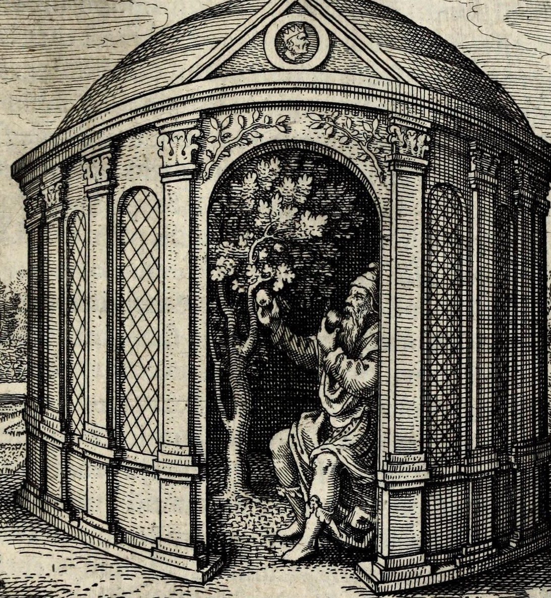 The Vessel in Arborem cum sene conclude in rorida domo, & comedens de fructu ejus fiet juvenis