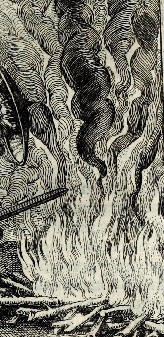 Fire in Naturam natura docet, debellet ut ignem