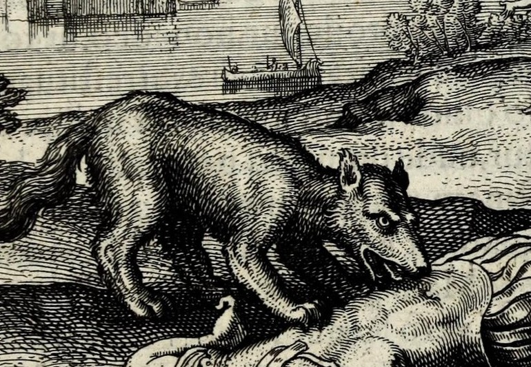 Death and the Skull in Regem lupus voravit & vitæ crematus reddidit