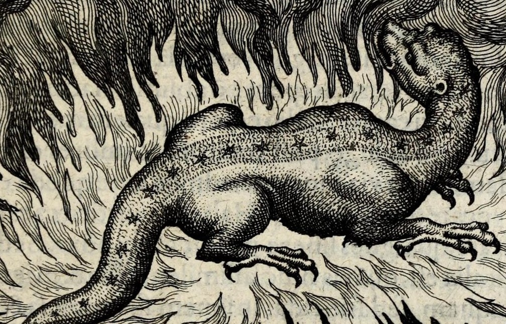 The Demon and the Monster in Ut Salamandra vivit igne sic lapis