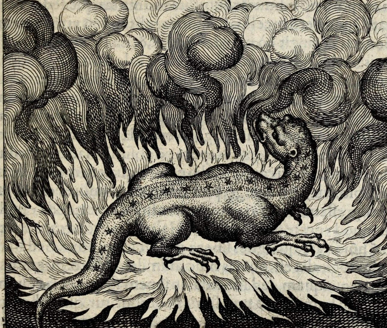 Fire in Ut Salamandra vivit igne sic lapis
