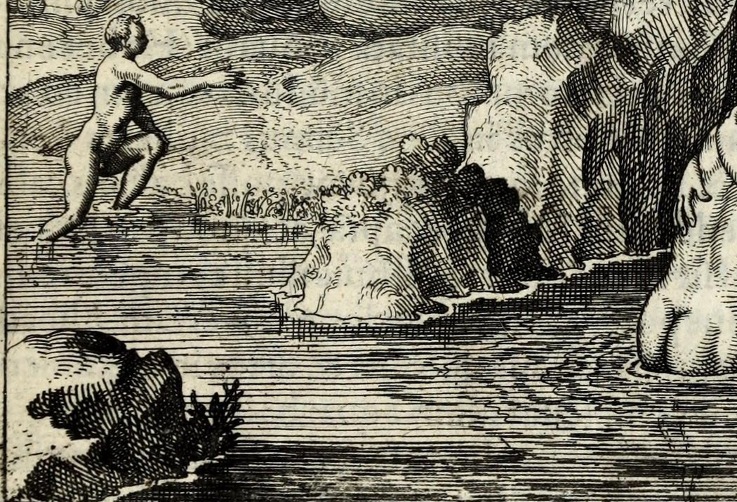 The Water in In balneis concipitur, & in aëre nascitur, rubeus verò factus graditur super aquas