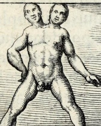 The Hermaphrodite in Rebis, ut Hermaphroditus, nascitur ex duobus montibus, Mercurii & Veneris