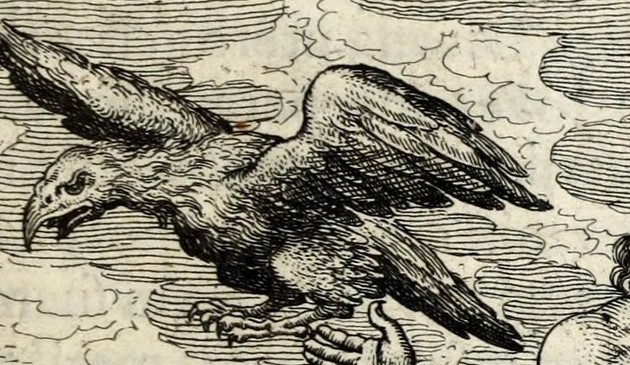 The Bird in Aquilæ duæ, una ab ortu, altera ab occasu conveniunt