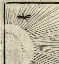 The Sun in Lupus ab Oriente & Canis ab Occidente venientes se invicem momorderunt