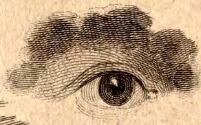 The Eye in The All-Seeing Eye, the Sun, the Moon, the Comet and the Heart