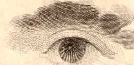 The Eye in Master's Carpet