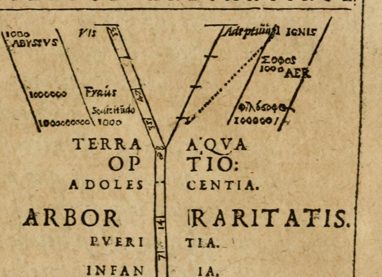 The Tree in Arbor Raritatis