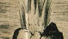 Fire in Designatio Pyramidum Petrosarum Triumphalium
