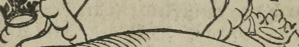 The Crown in The sword, the two crowns and the dragon