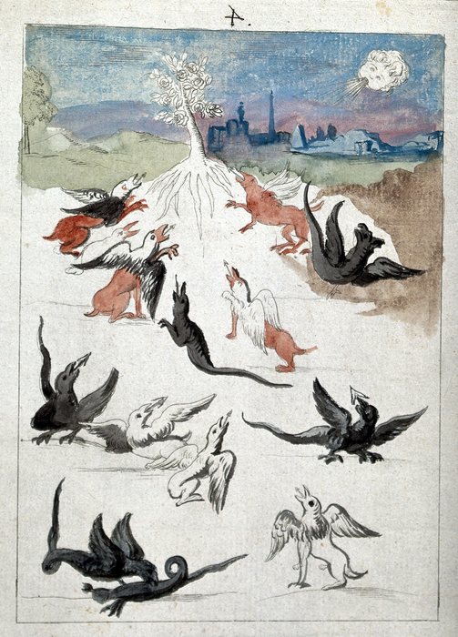 The Flowering Tree on the Mountain, with the Dragons and Griffons