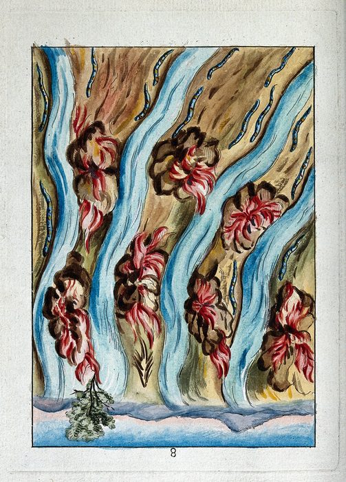 Rivers in the Wilderness, with Serpents and Fire