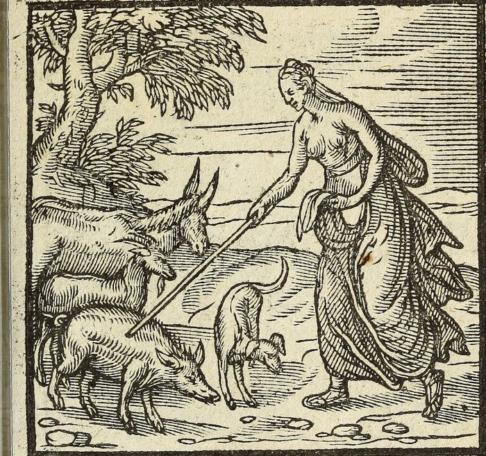 Cauendum à meretricibus, An unsigned block, for Andrea Alciato, 1648 printing, the emblems first published 1531