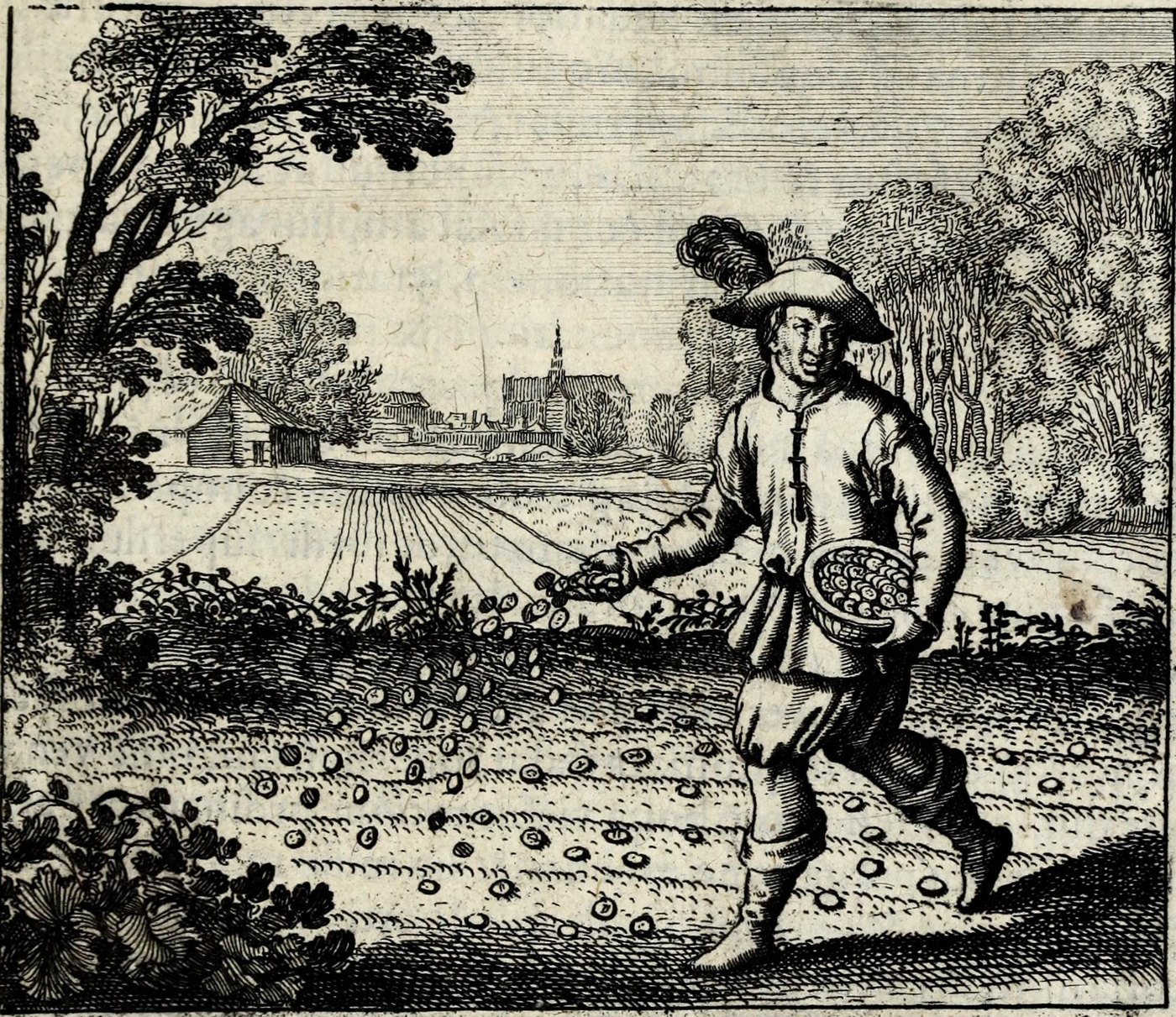Seminate aurum vestrum in terram albam foliatam