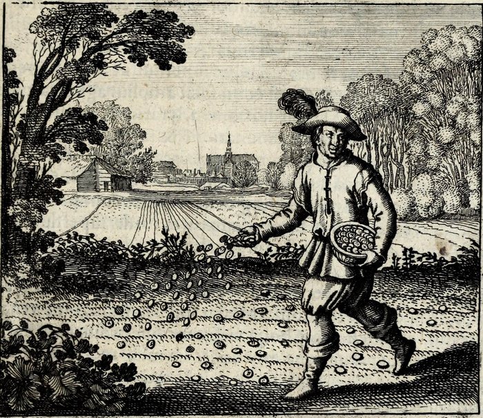 Seminate aurum vestrum in terram albam foliatam, Matthaus Merian, attributed, for Michael Maier