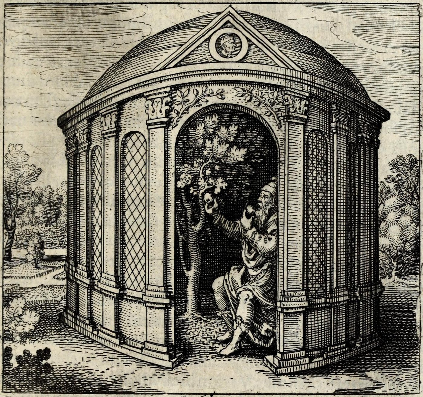 Arborem cum sene conclude in rorida domo, & comedens de fructu ejus fiet juvenis