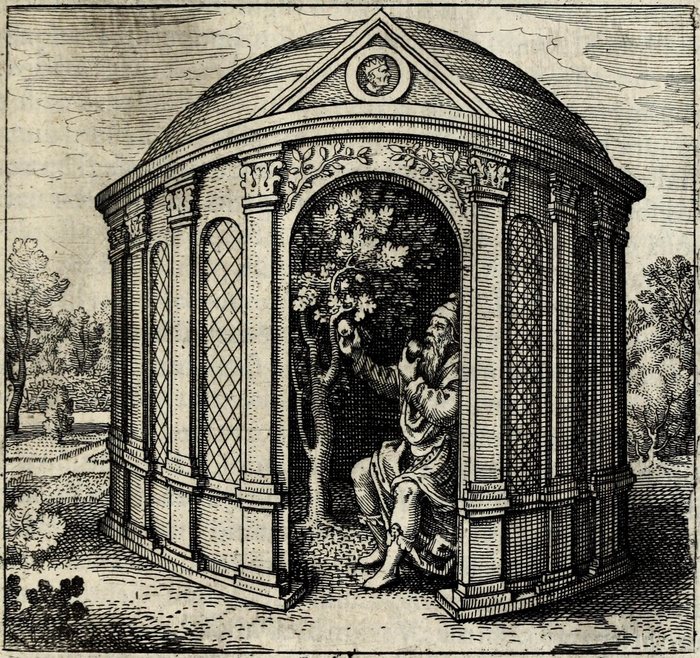 The Tree in Arborem cum sene conclude in rorida domo, & comedens de fructu ejus fiet juvenis