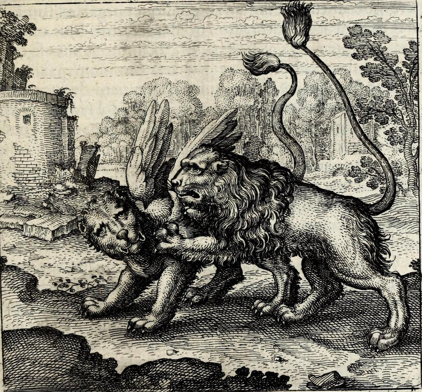 Hic leo, quas plumas non habet, alter habet