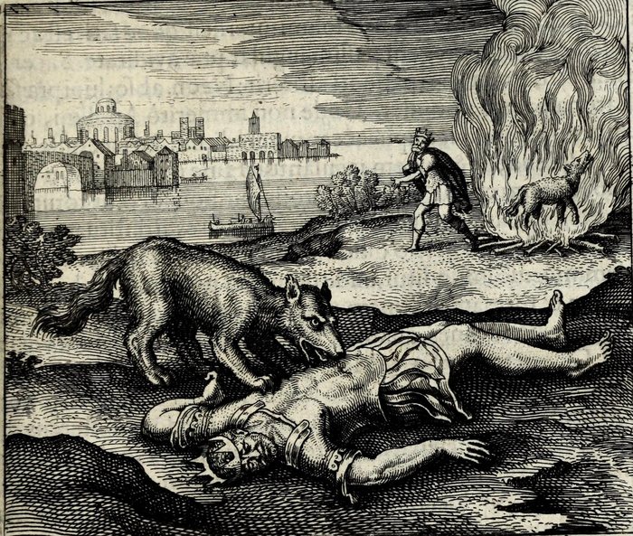 Regem lupus voravit & vitæ crematus reddidit, Matthaus Merian, attributed, for Michael Maier