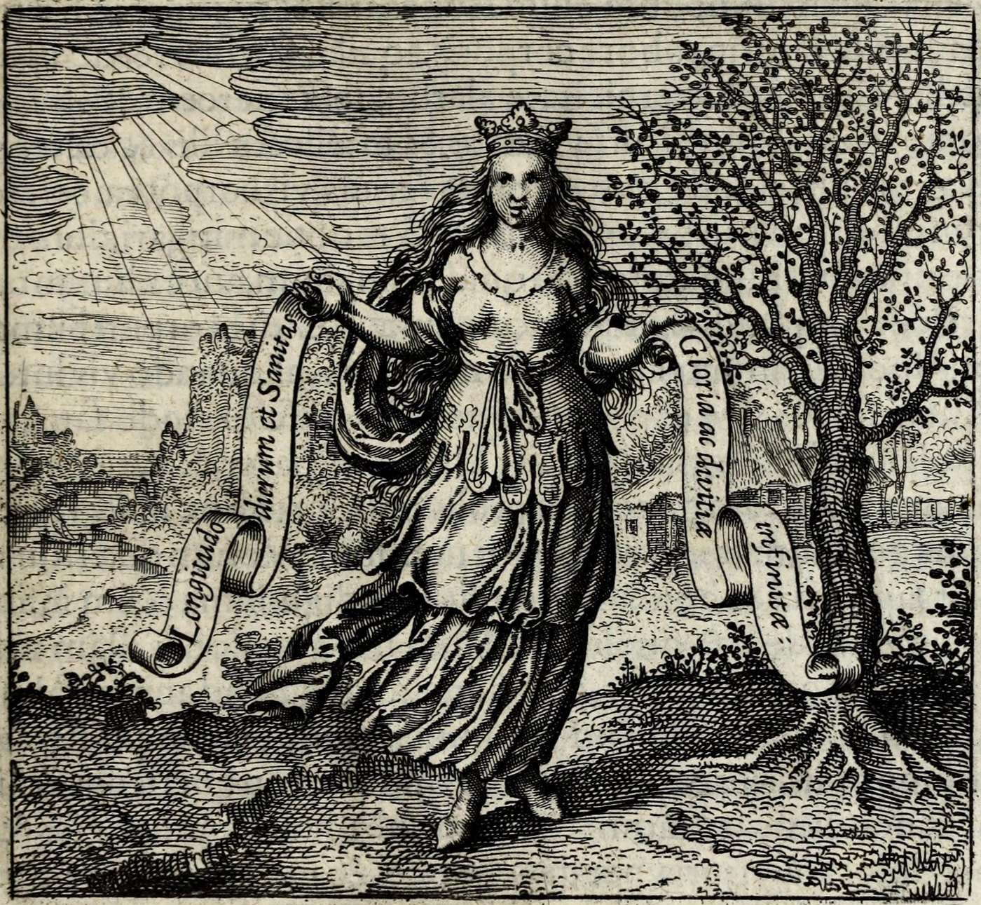 The Tree on Sapientiæ humanæ fructus Lignum vitæ est, the rest of the plate faded