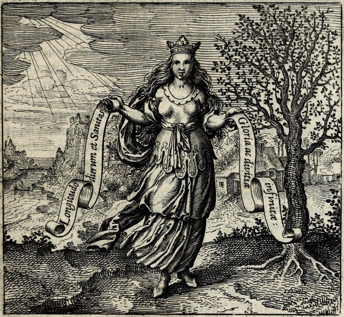 The Tree in Sapientiæ humanæ fructus Lignum vitæ est