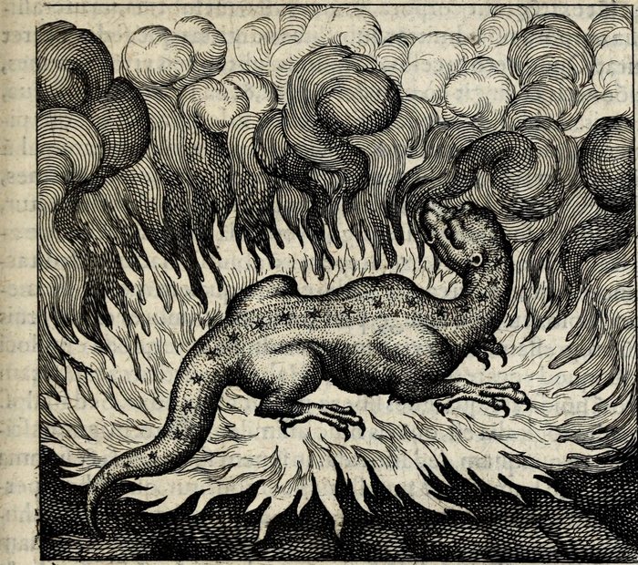 Ut Salamandra vivit igne sic lapis, Matthaus Merian, attributed, for Michael Maier