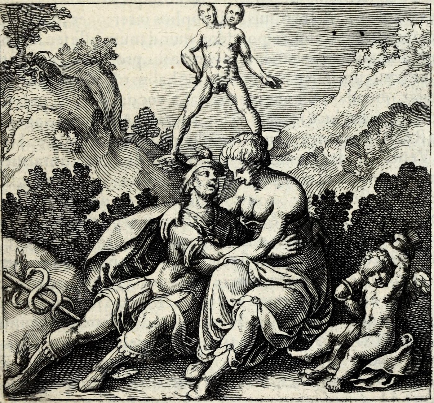 Rebis, ut Hermaphroditus, nascitur ex duobus montibus, Mercurii & Veneris