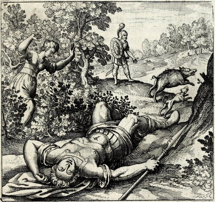 Adonis ab apro occiditur, cui Venus accurrens tinxit Rosas sanguine, Matthaus Merian, attributed, for Michael Maier