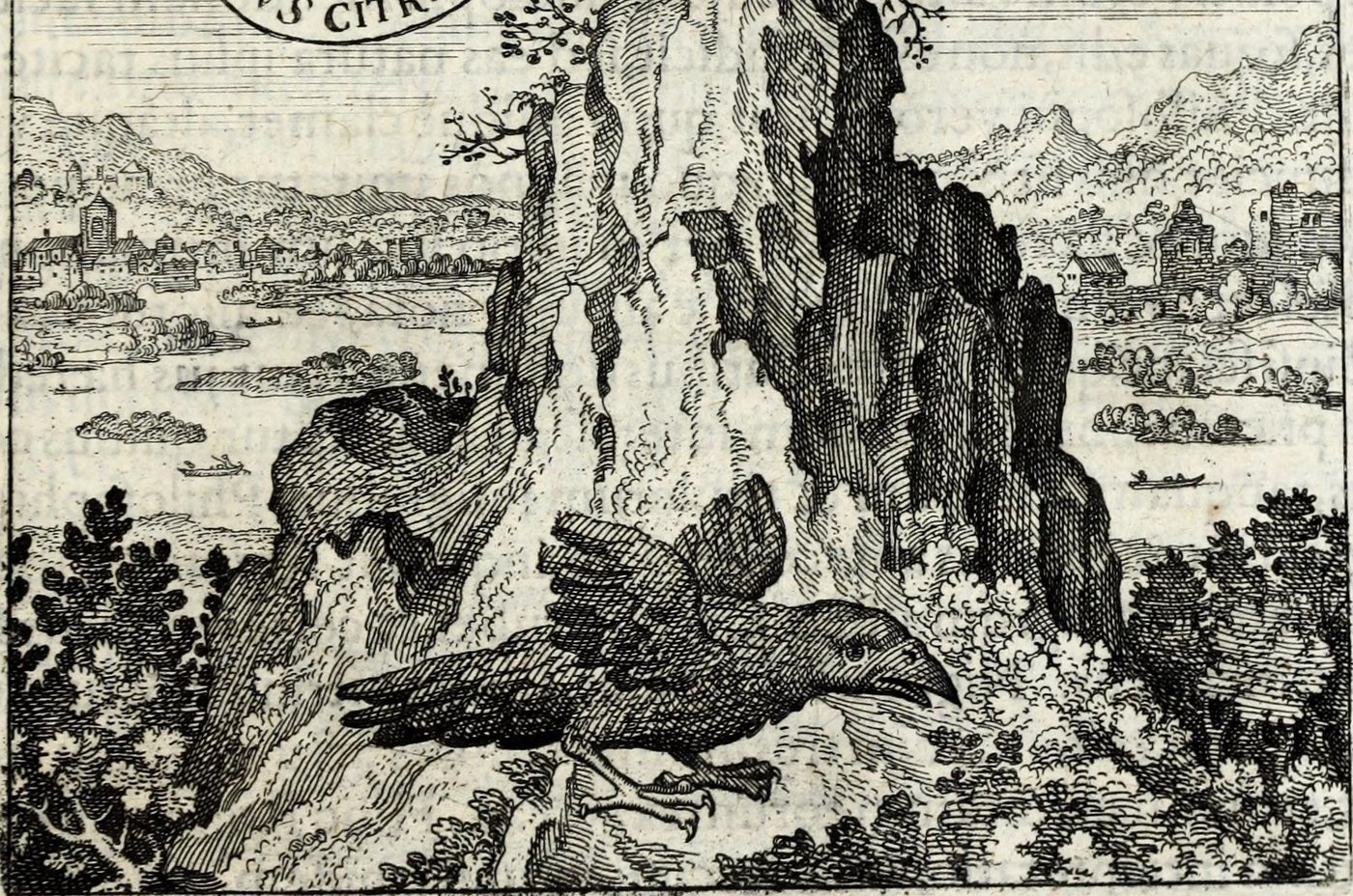 The Bird on Audi loquacem vulturem, qui neutiquam te decipit, the rest of the plate faded