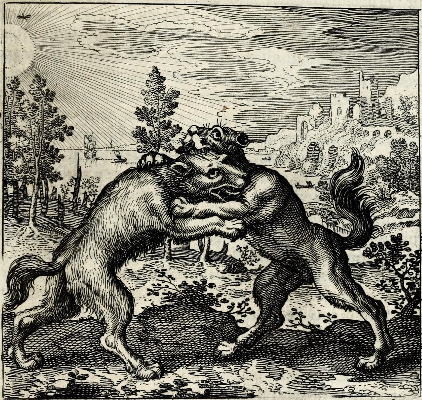 Lupus ab Oriente & Canis ab Occidente venientes se invicem momorderunt