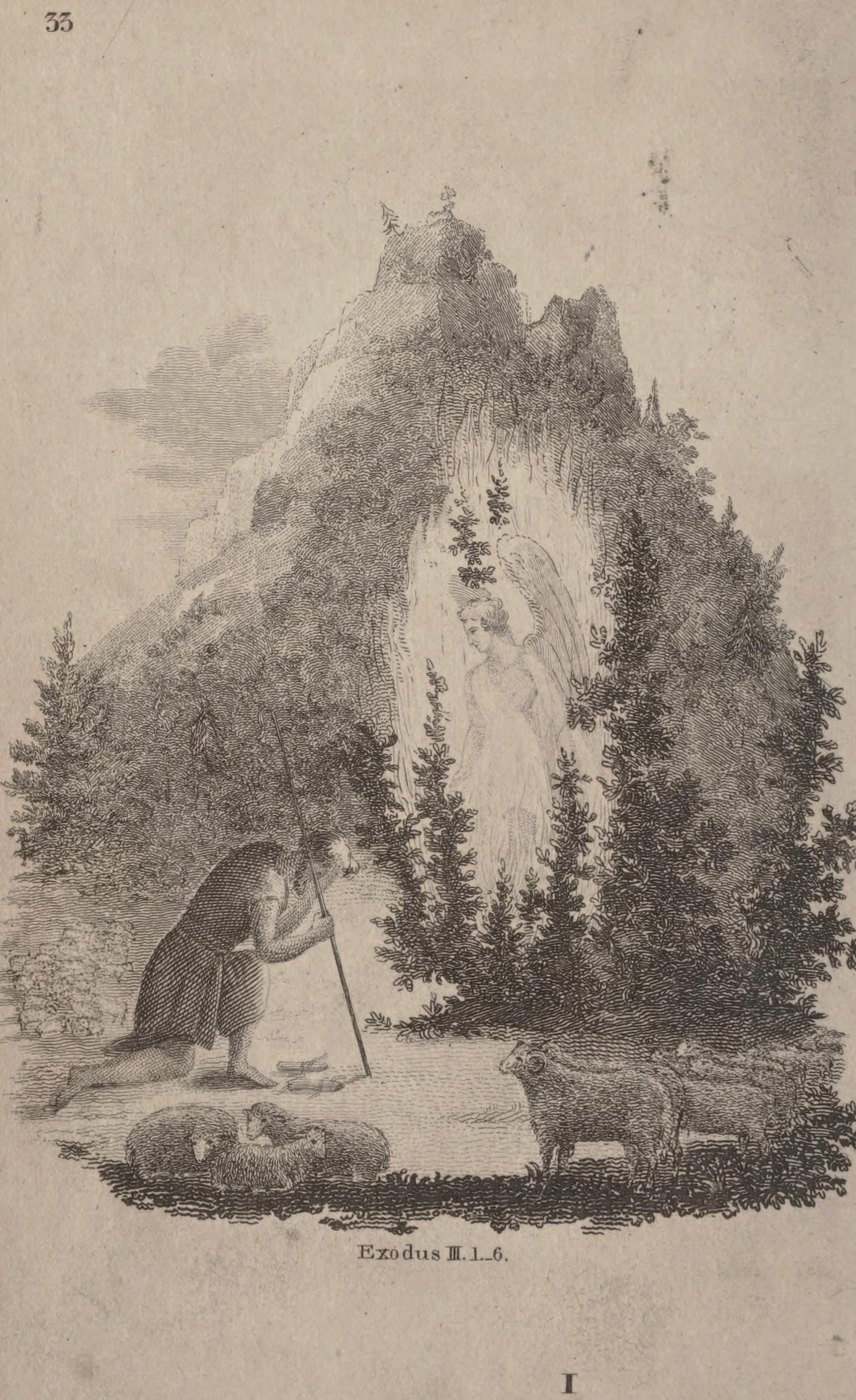 The Burning Bush