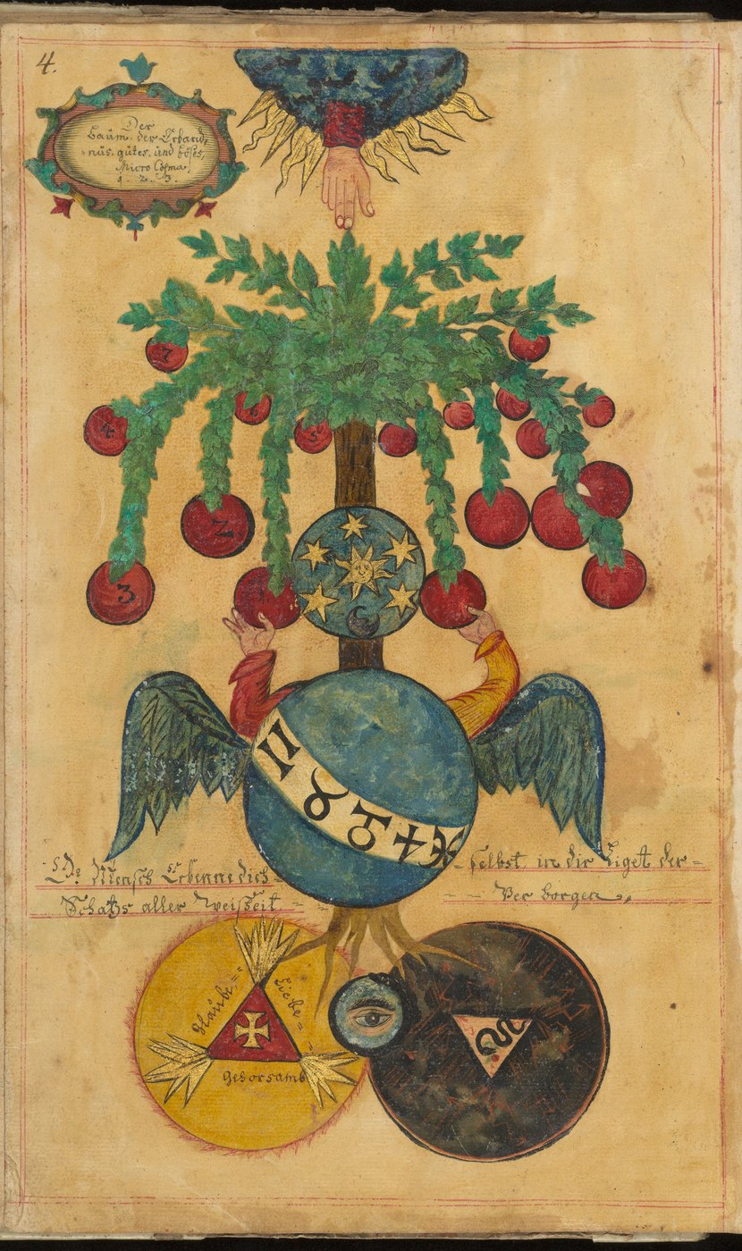 The Tree of the Knowledge of Good and Evil, Microcosma