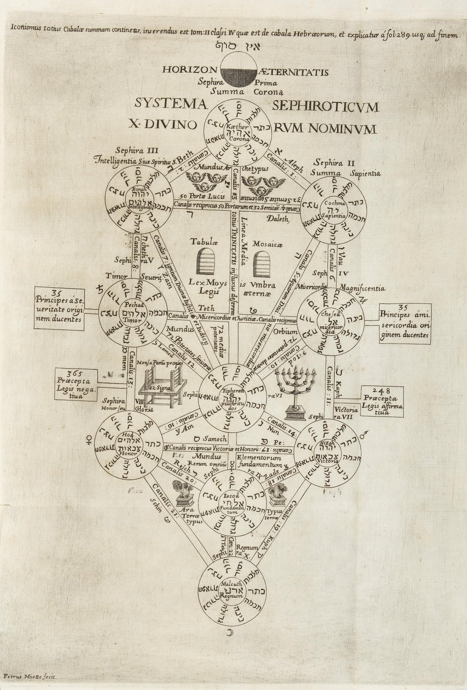 Systema Sephiroticum, the Tree of the Sephiroth